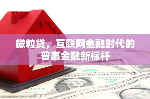 古镇微粒贷，互联网金融时代的普惠金融新标杆