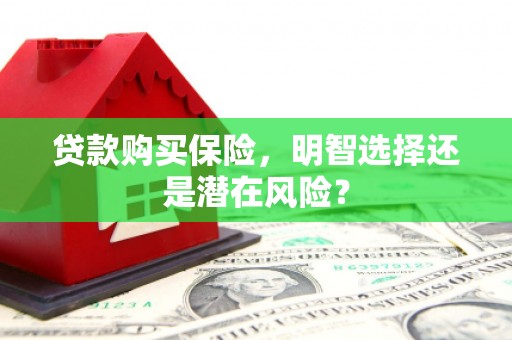 古镇贷款购买保险，明智选择还是潜在风险？