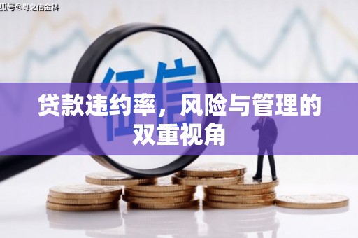 古镇贷款违约率，风险与管理的双重视角