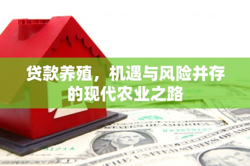 古镇贷款养殖，机遇与风险并存的现代农业之路