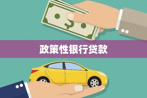 古镇政策性银行贷款