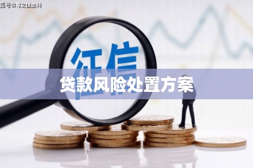 古镇贷款风险处置方案