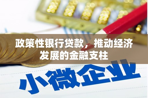 古镇政策性银行贷款，推动经济发展的金融支柱