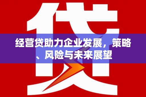 古镇经营贷助力企业发展，策略、风险与未来展望
