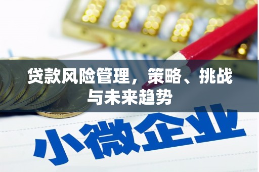 古镇贷款风险管理，策略、挑战与未来趋势