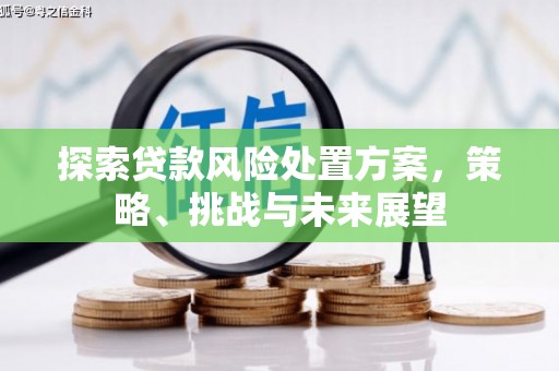 古镇探索贷款风险处置方案，策略、挑战与未来展望