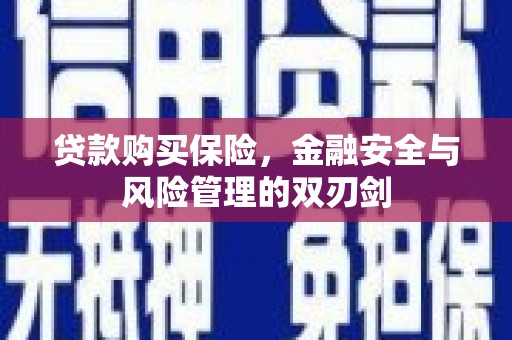 古镇贷款购买保险，金融安全与风险管理的双刃剑
