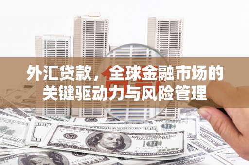 古镇外汇贷款，全球金融市场的关键驱动力与风险管理