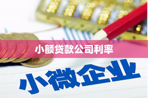 古镇小额贷款公司利率