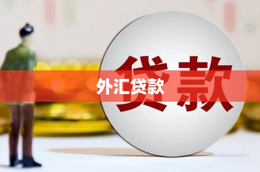 古镇外汇贷款