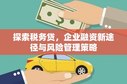 古镇探索税务贷，企业融资新途径与风险管理策略