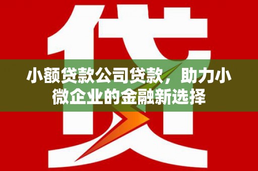 古镇小额贷款公司贷款，助力小微企业的金融新选择