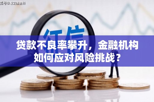 古镇贷款不良率攀升，金融机构如何应对风险挑战？