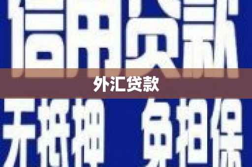 古镇外汇贷款