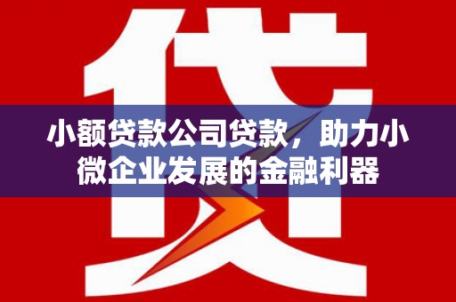 古镇小额贷款公司贷款，助力小微企业发展的金融利器