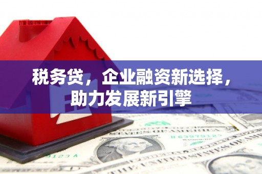 古镇税务贷，企业融资新选择，助力发展新引擎