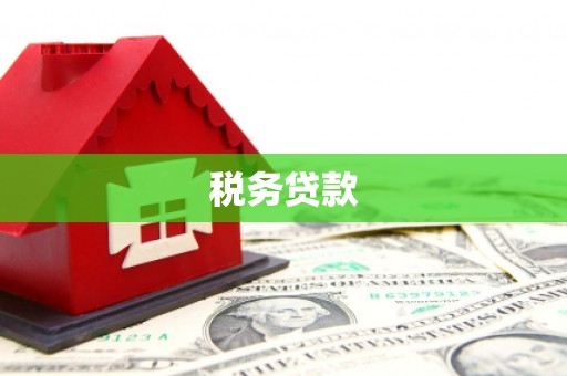 古镇税务贷款