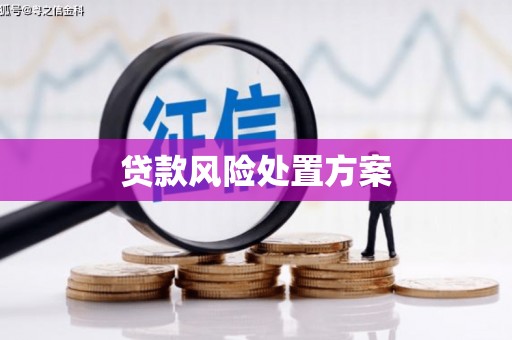 古镇贷款风险处置方案