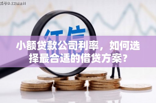 古镇小额贷款公司利率，如何选择最合适的借贷方案？