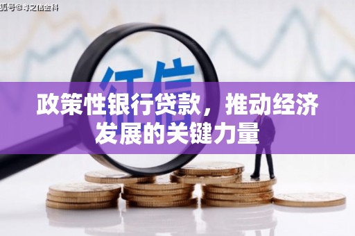 古镇政策性银行贷款，推动经济发展的关键力量