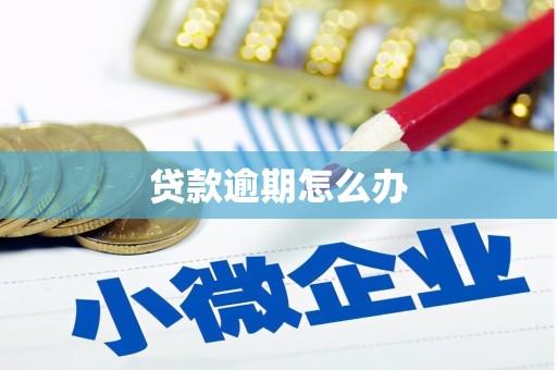 古镇贷款逾期怎么办