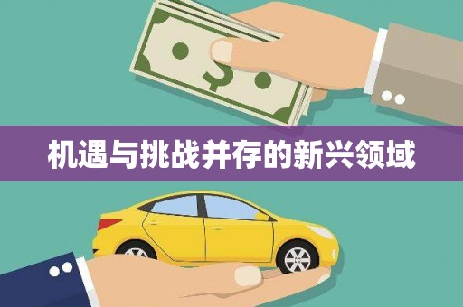古镇机遇与挑战并存的新兴领域