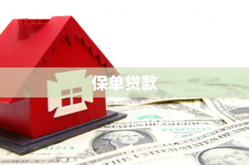 古镇保单贷款